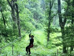 フォレストアドベンチャー・恵庭の写真2