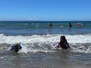 わたがしさんさんの根本海岸の投稿写真1