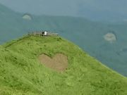 りゅうさんの西湯浦園地展望所の投稿写真1