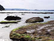 chiniichanさんの鳥ノ巣海岸の投稿写真2