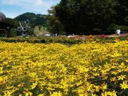 yu‐cyanさんのたんばらラベンダーパークの投稿写真1