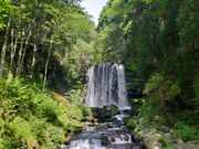 あきぼうさんの唐沢の滝の投稿写真1