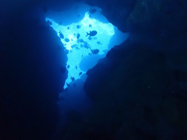 講習場所での画像です。とてもきれいでした。_ダイビングサプライヤー SMILE in Okinawa