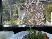 くみこさんのお肉と海鮮料理 れんが屋の投稿写真2