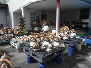 トシローさんのタヌキの焼物の投稿写真1