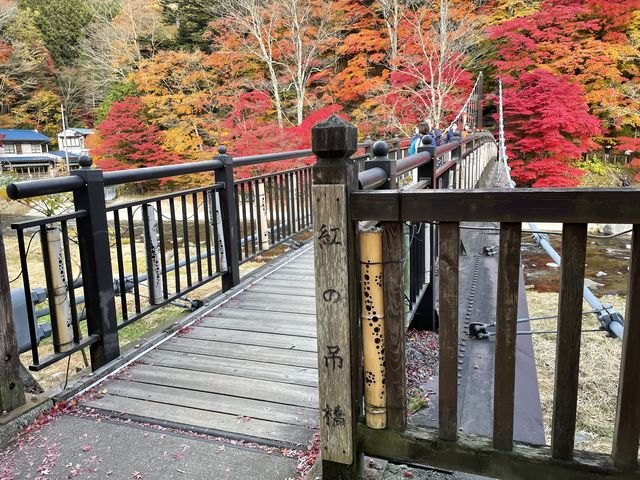 入口_紅の吊橋