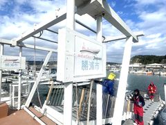 ひろさんのSeafari Japanへの投稿写真1