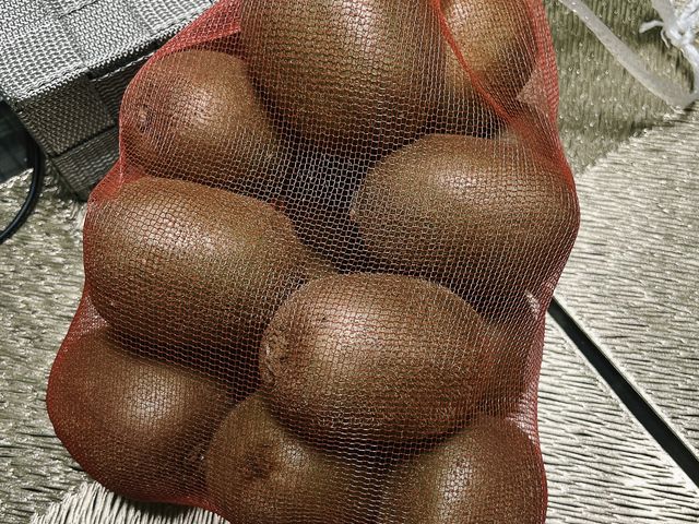 一つが大きい!_もんがわアグリパーク