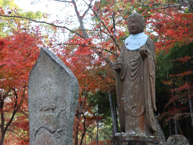 山口県山口市 両足寺_両足寺/もみじ