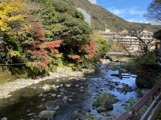 とても天気のいい日でした_箱根さくら姫