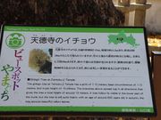 一期一会さんの天徳寺(山口県防府市)の投稿写真3