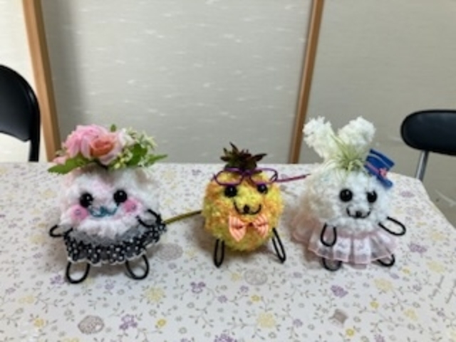 左から造花、多肉植物、エアープランツ_ハズキモスペット