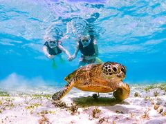 はなださんのOkinawa tripsへの投稿写真1