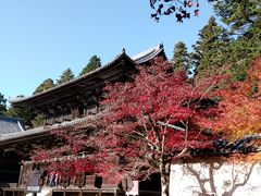 なつさんの圓教寺摩尼殿への投稿写真1