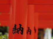 TKYさんの満福寺の投稿写真2