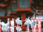 TKYさんの満福寺の投稿写真3