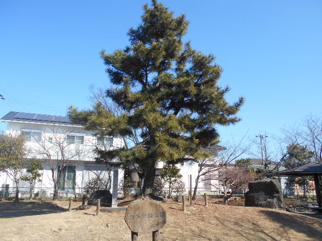 トシローさんの落田中の一松の投稿写真1