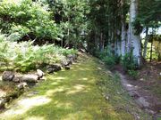 こぼらさんの補陀洛山寺の投稿写真7