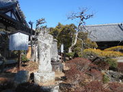 トシローさんの無量壽寺の投稿写真1