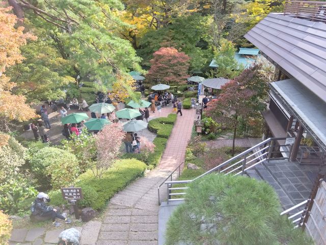 秋の清流ガーデンと利酒処_澤乃井園 清流ガーデン