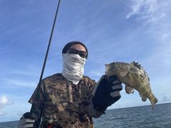 DSF石垣島の写真1