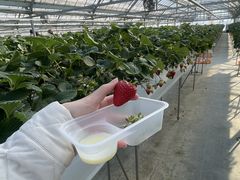 れみさんのお陽様農園への投稿写真1