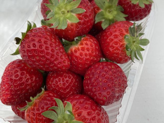 お持ち帰り_なかま苺農園