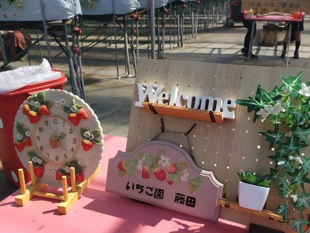ゆとりあるハウス内_いちご園藤田