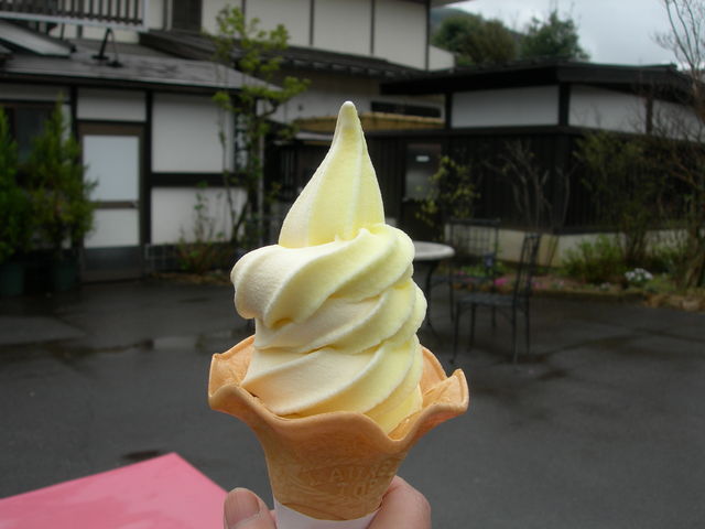 沙羅の木