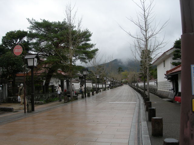 エギンガー12号さんの殿町通り/しょうぶの投稿写真1