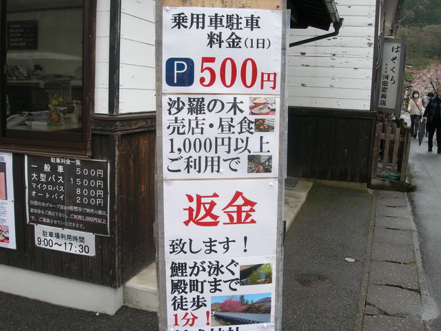沙羅の木