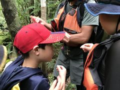 rainbowさんの西表島コモレビトリップへの投稿写真2