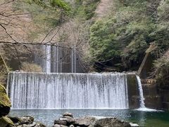 福井タクシーの写真2