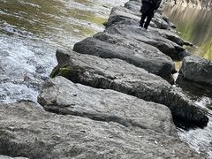 伊勢ぷちたびの写真1