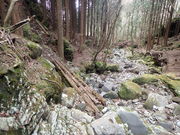 マイBOOさんの愛鷹山の投稿写真1