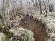 マイBOOさんの愛鷹連峰・越前岳の投稿写真1