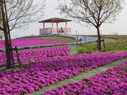 みるにゃんゆさんの三ツ又池公園の投稿写真2