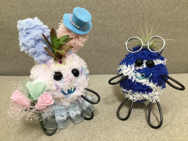 左が子供の多肉ちゃん、右がエアープラント。_ハズキモスペット
