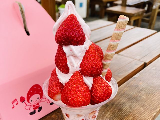 もりもりパフェ美味しかったです_阿蘇いちご畑-木之内農園-