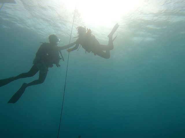 体験ダイビング_Sea connection
