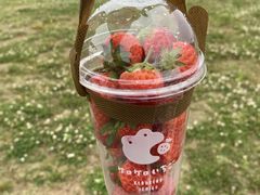 みほさんのケロケロの杜への投稿写真1