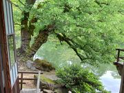 ウッキーさんの霞ヶ池(兼六園)の投稿写真1