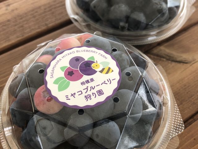 お土産付きのパック_相模原ミヤコブルーベリー狩り園