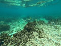 石垣島 ADVENTURE PiPiの写真1