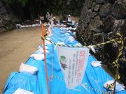 サクラサクさんの松阪公園の投稿写真3