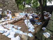 サクラサクさんの松阪公園の投稿写真4