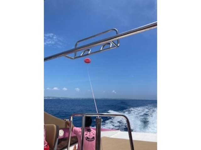 鳥になった気分_ゆにはま
