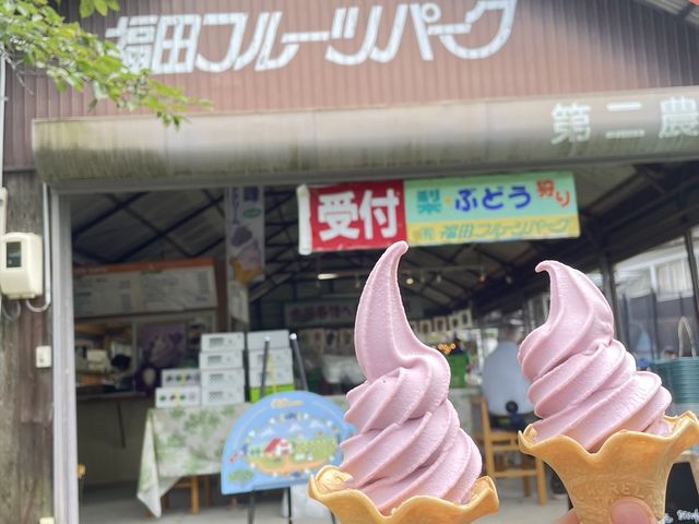 美味しい巨峰ソフト_福田フルーツパーク