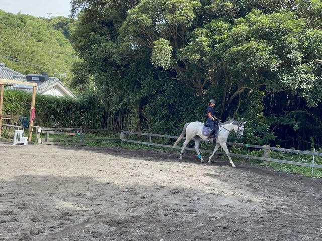 お勉強中(調教中)_館山ライディングパーク