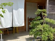 ひろちゃんさんのにいつまの投稿写真1